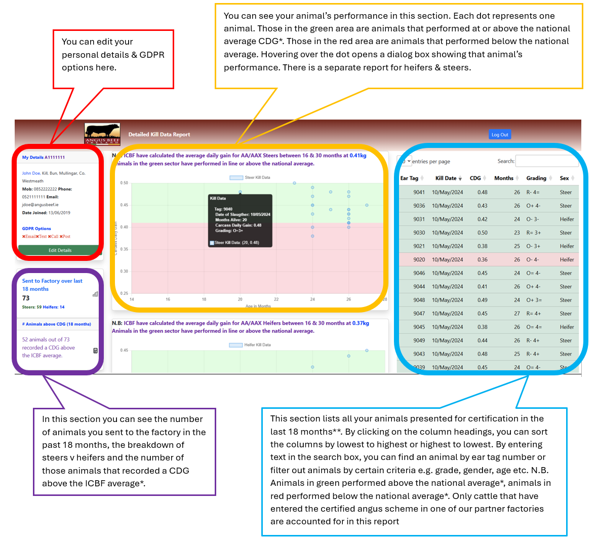 Responsive Image Map